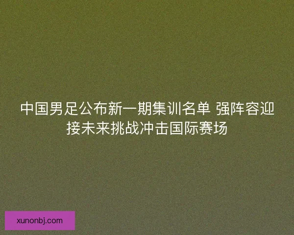 中国男足公布新一期集训名单 强阵容迎接未来挑战冲击国际赛场