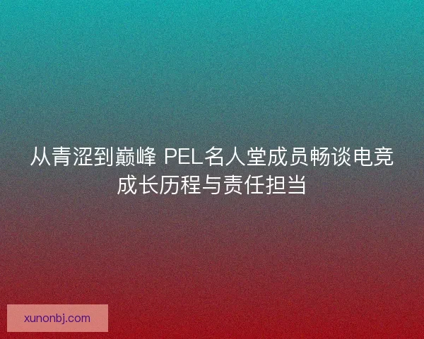 从青涩到巅峰 PEL名人堂成员畅谈电竞成长历程与责任担当