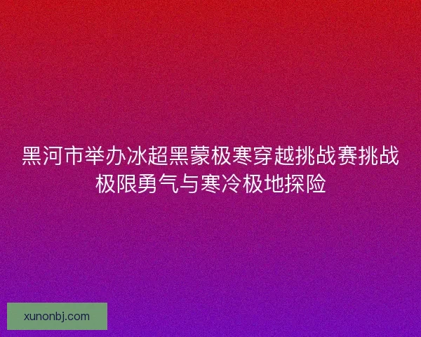 黑河市举办冰超黑蒙极寒穿越挑战赛挑战极限勇气与寒冷极地探险