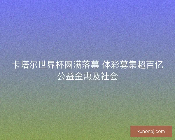 卡塔尔世界杯圆满落幕 体彩募集超百亿公益金惠及社会